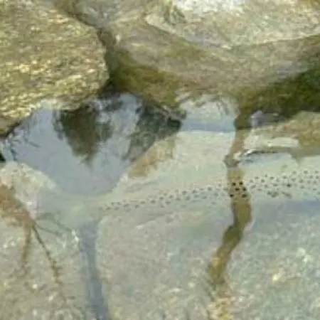 Il Bilocale Della Nonna *